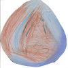 Phoenix Egg